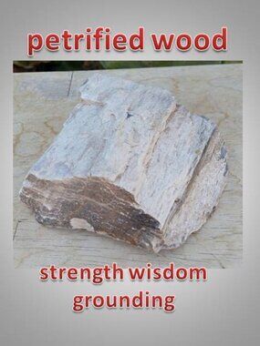 #6 Petrified Wood chunk stone fossil Fortune Strength Calmness